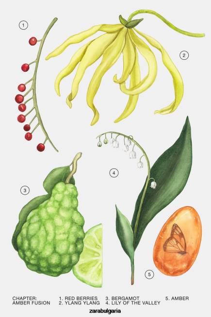 Zara аксесоари 66FT780 Жени амбър фюжън 30 мл оригинален