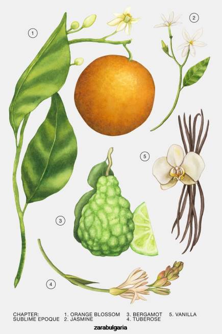 Zara аксесоари 66FT781 Жени sublime epoque edp 80 мл оригинален