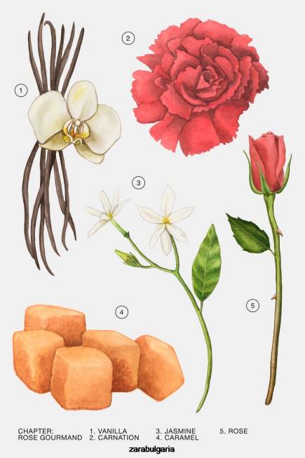 Zara аксесоари 66FT783 Жени роза гурман 80 мл оригинален