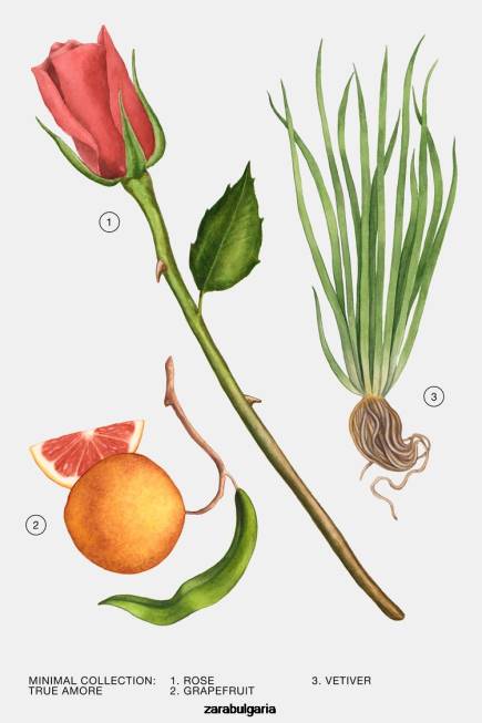 Zara аксесоари 66FT788 Жени true amore 30 мл оригинален