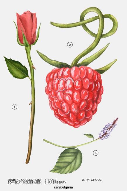 Zara аксесоари 66FT790 Жени някой ден понякога 100 мл оригинален