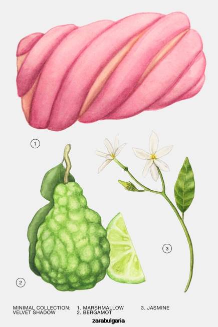 Zara аксесоари 66FT792 Жени кадифени сенки 100 мл оригинален