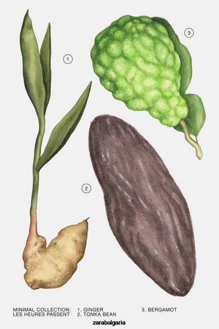 Zara аксесоари 66FT794 Жени les heures passent 30 мл оригинален