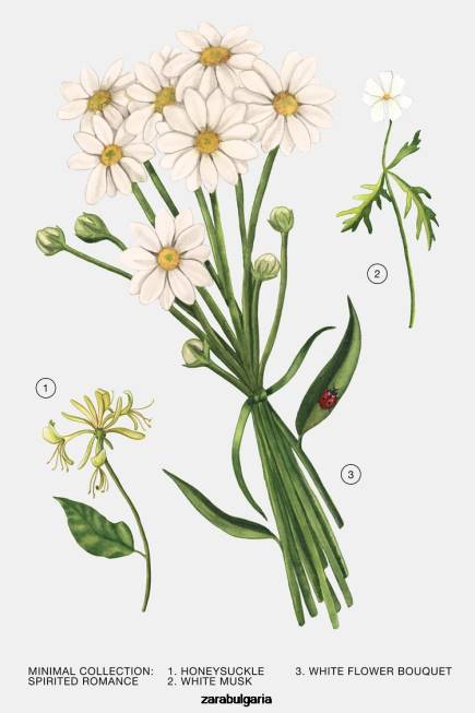 Zara аксесоари 66FT796 Жени оживена романтика 30 мл оригинален