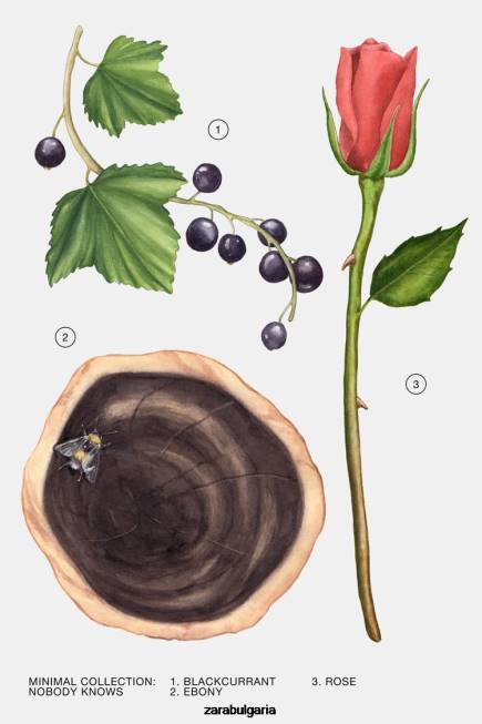 Zara аксесоари 66FT797 Жени никой не знае 100 мл оригинален