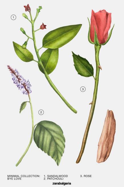 Zara аксесоари 66FT802 Жени чао любов 30 мл оригинален