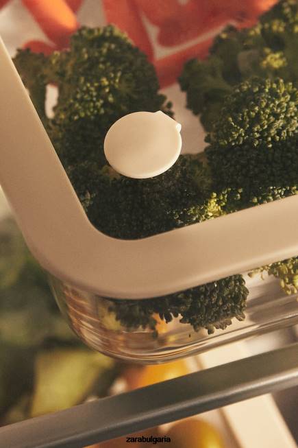 Zara аксесоари 66FT1690 унисекс херметически затворен контейнер 47,34 oz сметана