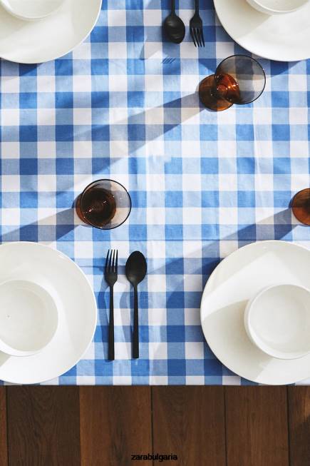 Zara аксесоари 66FT1668 унисекс смола карирана покривка син