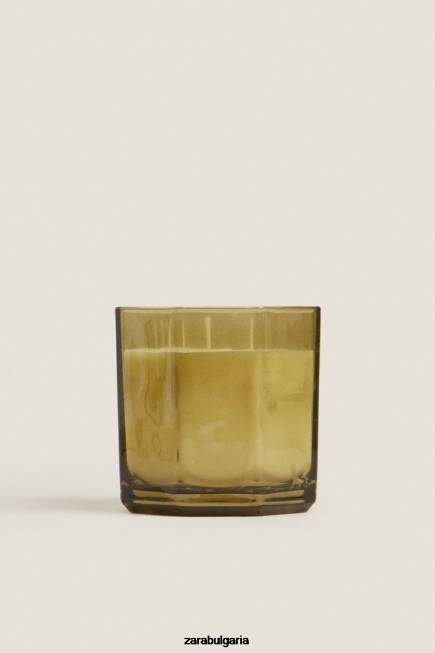 Zara аксесоари 66FT1763 унисекс (500 г) ароматна свещ от пресни листа земя