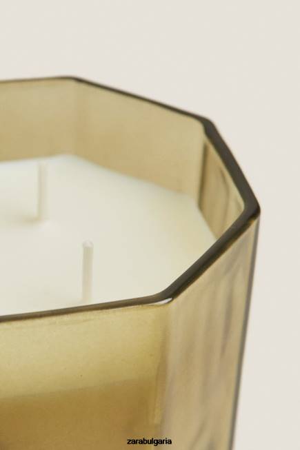 Zara аксесоари 66FT1763 унисекс (500 г) ароматна свещ от пресни листа земя