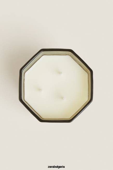 Zara аксесоари 66FT1763 унисекс (500 г) ароматна свещ от пресни листа земя