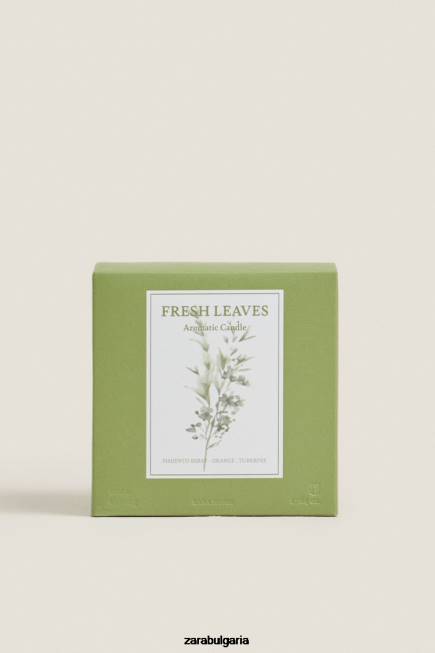 Zara аксесоари 66FT1763 унисекс (500 г) ароматна свещ от пресни листа земя