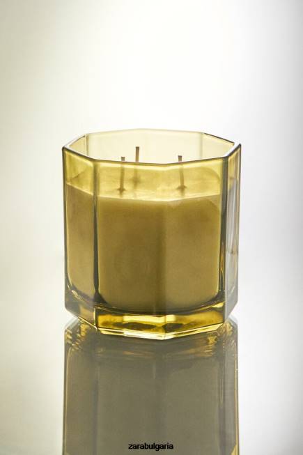 Zara аксесоари 66FT1763 унисекс (500 г) ароматна свещ от пресни листа земя