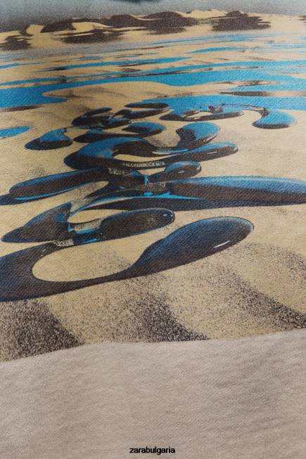 Zara облекло 66FT1077 мъже суичър с качулка с принт на hatthanan екрю